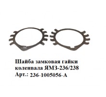 шайба замковая гайки коленвала ЯМЗ-236/238